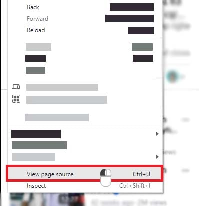 Select to view the page source code