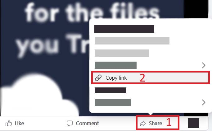 Copy Facebook video link